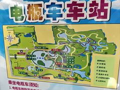 -上海野生动物园