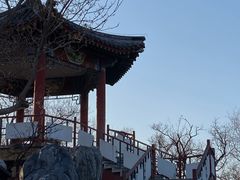 -莲花池公园