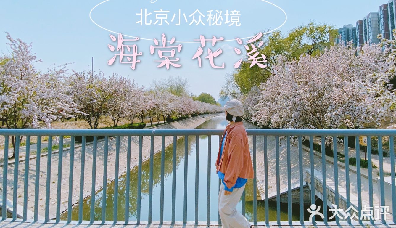 北京春日赏花秘境🌸日系海棠花溪‼️完爆元大都 