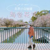 北京春日赏花秘境🌸日系海棠花溪‼️完爆元大都 