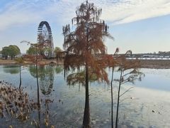 -苏州太湖湖滨国家湿地公园