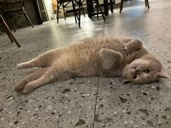 -MIMO CAFE(沙头角店)
