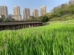 -龙头寺公园