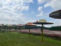 -嘉北郊野公园