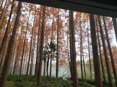 -上海怡沁园度假酒店