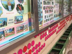 -北京林业大学幼儿园