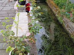 -黎阳老街