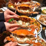 [礼花]凤霞海鲜楼·美食之旅开启🚢吃海鲜咯～