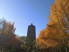 -玲珑塔公园