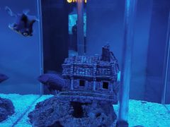 -太平洋海底世界