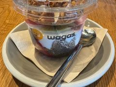 -Wagas沃歌斯(汇智店)