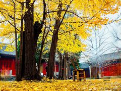 -承恩寺