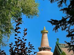 -张掖大佛寺景区