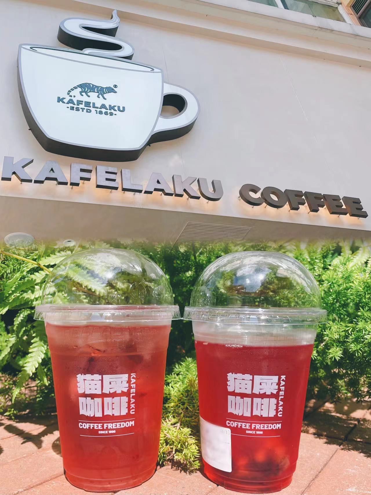 0元喝猫屎咖啡7515