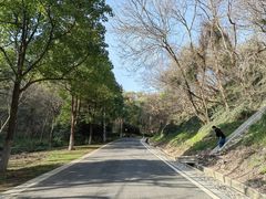 -南京市江宁方山