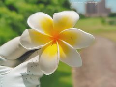 -南沙高尔夫球会