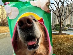 -PETKIT小佩宠物(古北店)