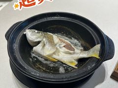 -半岛宴·湛江精品菜(蛇口广场店)