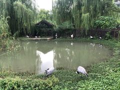 -上方山森林动物世界
