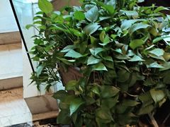 -洛阳宴·洛阳菜(南昌路店)