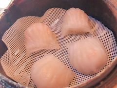 -憶廟街 X 沙角邨(太古城店)