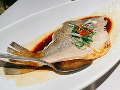年年有余清蒸鲈鱼-汤城小厨•粤菜•靓汤(苏州街店)