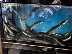 -味家烤肉烤鳗鱼牛排(西塔旗舰店)