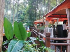 -二荆条·蜀鲜汇城市森林火锅