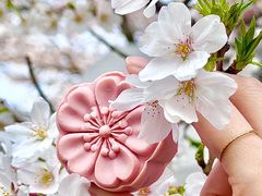 -珈境湖畔餐厅·湖北菜·江浙菜•樱花季(西北湖店)