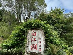 -广州白江湖森林公园