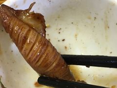 -老乡村美食农庄