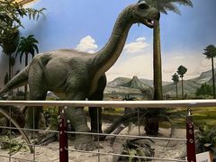 -国家自然博物馆