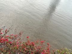 -海心沙亚运公园