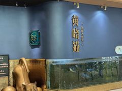 -黄晓猫剁椒大鱼头(海岸城店)