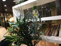 -轩舞汇·爵士舞街舞训练营