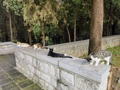 -四门塔风景区