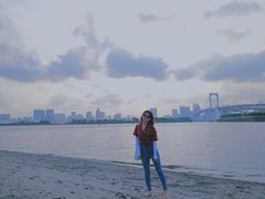 -台场海滨公园船码头