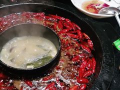 -渝大狮毛肚老火锅(普陀店)