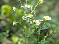 -南山风景名胜区
