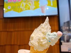-野人先生现做冰淇淋(北京顺义祥云小镇店)