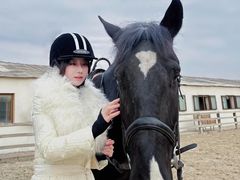 -北京群众马术培训基地