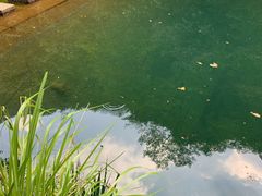 -白云源风景区