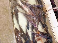 -庆岭迎宾园正宗活鱼馆