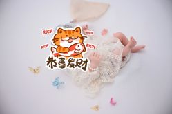 -玛瑞莎孕婴童摄影到家拍