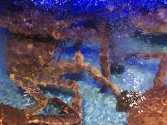 -阿伟海鲜楼·福建菜(延寿店)