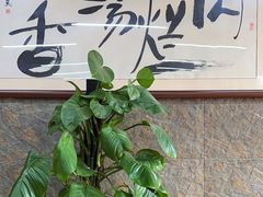 -淳澄水盆羊肉
