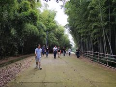 -苏州城市学院