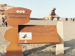 -敦煌雅丹国家地质公园