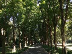 -小洲村
