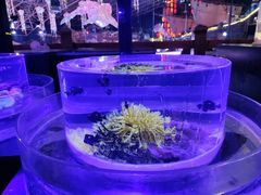 -海合安青岛极地海洋公园